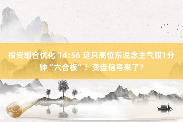 投资组合优化 14:56 这只高位东说念主气股1分钟“六合板”！变盘信号来了？