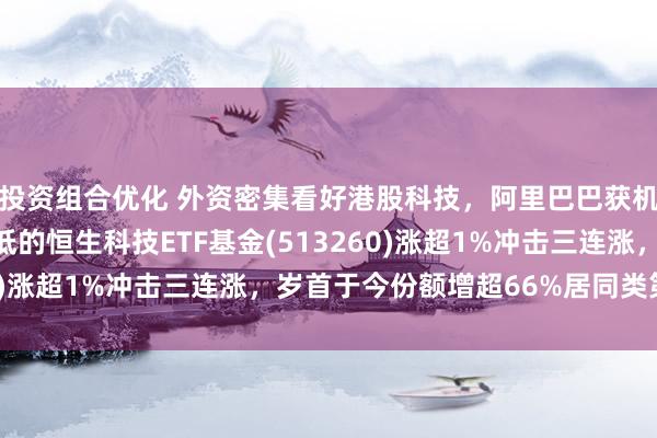 投资组合优化 外资密集看好港股科技，阿里巴巴获机构火速加仓！费率最低的恒生科技ETF基金(51326