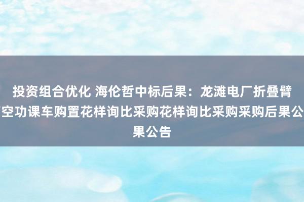 投资组合优化 海伦哲中标后果：龙滩电厂折叠臂高空功课车购置花样询比采购花样询比采购采购后果公告