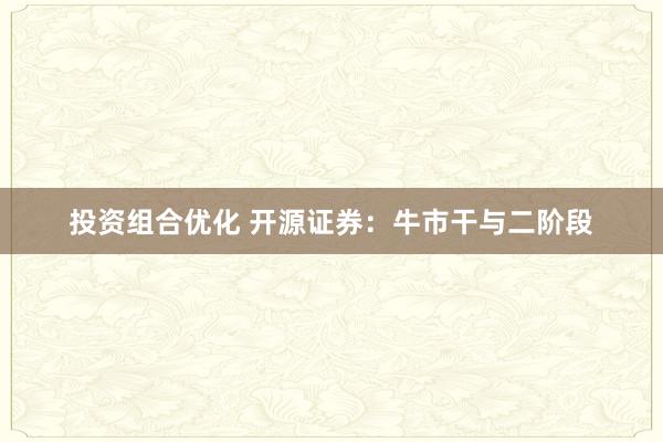 投资组合优化 开源证券：牛市干与二阶段