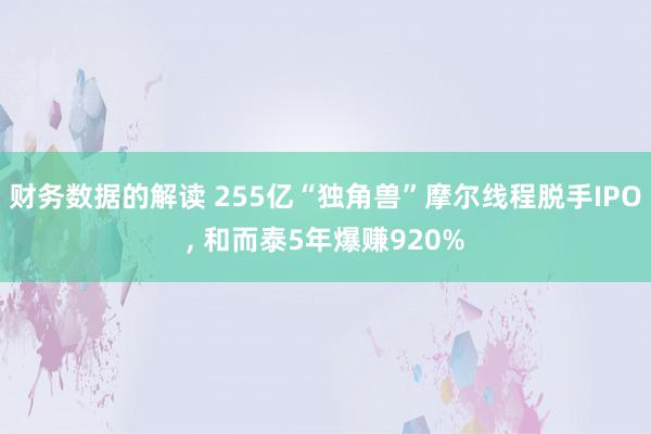 财务数据的解读 255亿“独角兽”摩尔线程脱手IPO, 和而泰5年爆赚920%