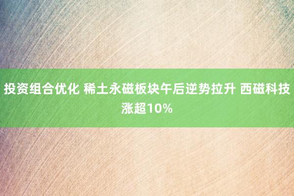 投资组合优化 稀土永磁板块午后逆势拉升 西磁科技涨超10%