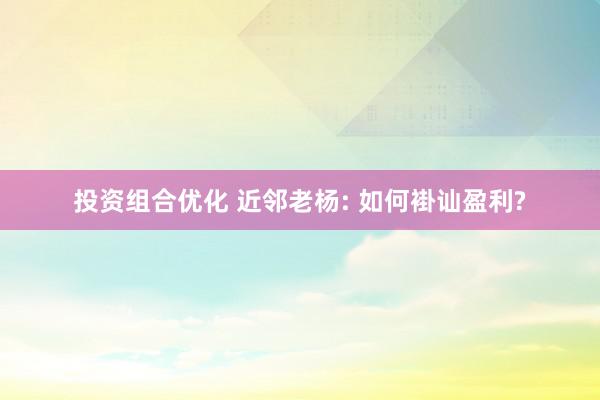 投资组合优化 近邻老杨: 如何褂讪盈利?