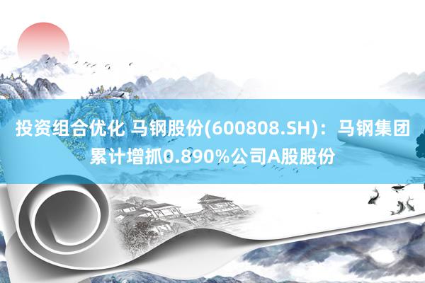 投资组合优化 马钢股份(600808.SH)：马钢集团累计增抓0.890%公司A股股份