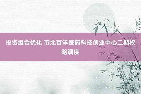 投资组合优化 市北百洋医药科技创业中心二期权略调度