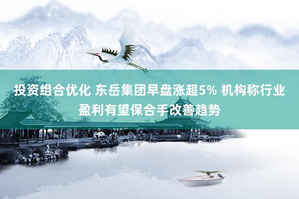 投资组合优化 东岳集团早盘涨超5% 机构称行业盈利有望保合手改善趋势