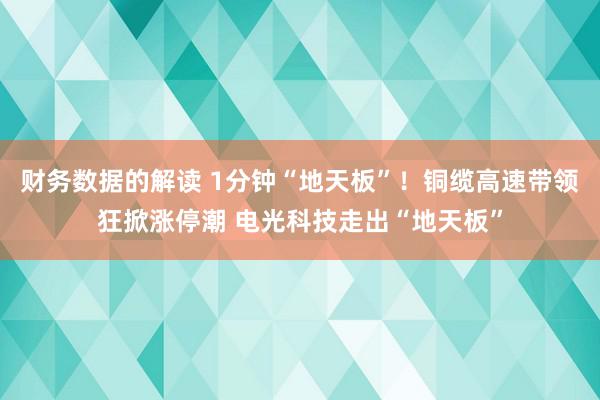 财务数据的解读 1分钟“地天板”！铜缆高速带领狂掀涨停潮 电光科技走出“地天板”