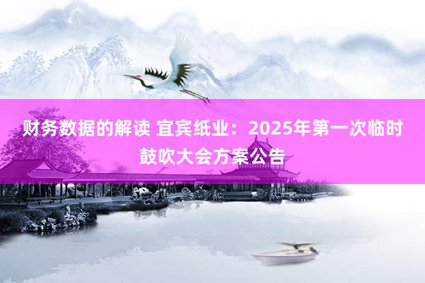 财务数据的解读 宜宾纸业：2025年第一次临时鼓吹大会方案公告