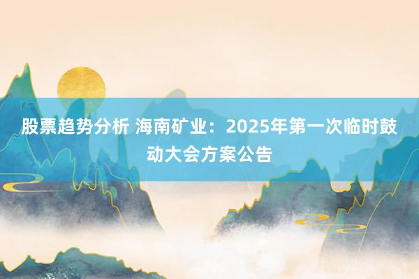 股票趋势分析 海南矿业：2025年第一次临时鼓动大会方案公告