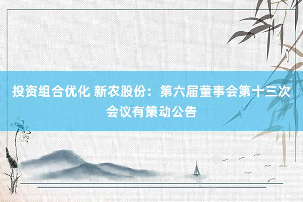 投资组合优化 新农股份：第六届董事会第十三次会议有策动公告