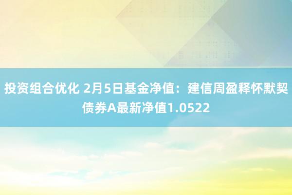 投资组合优化 2月5日基金净值：建信周盈释怀默契债券A最新净值1.0522