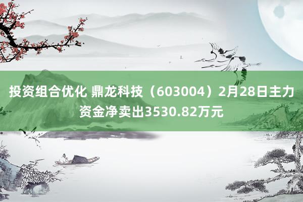 投资组合优化 鼎龙科技（603004）2月28日主力资金净卖出3530.82万元