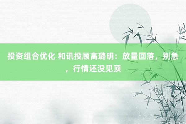 投资组合优化 和讯投顾高璐明：放量回落，别急，行情还没见顶