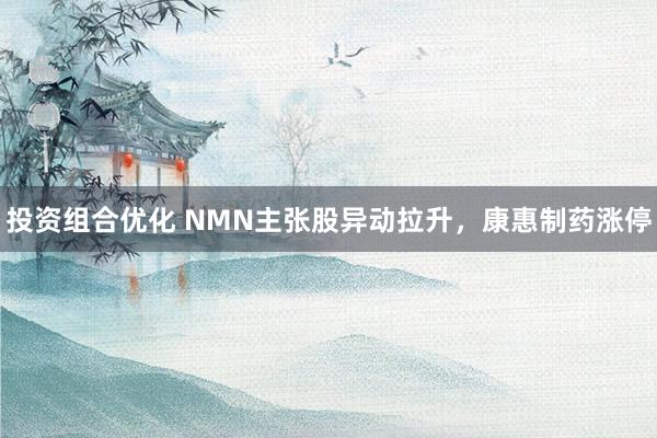 投资组合优化 NMN主张股异动拉升，康惠制药涨停