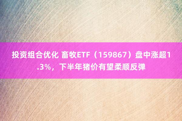 投资组合优化 畜牧ETF（159867）盘中涨超1.3%，下半年猪价有望柔顺反弹