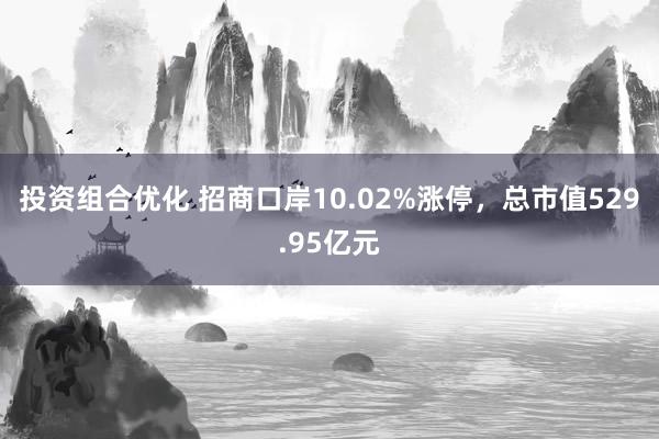 投资组合优化 招商口岸10.02%涨停，总市值529.95亿元