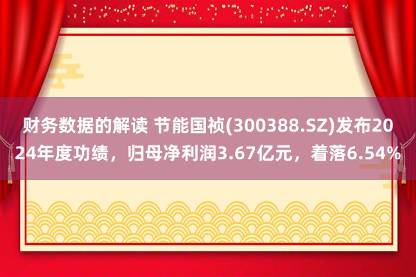 财务数据的解读 节能国祯(300388.SZ)发布2024年度功绩，归母净利润3.67亿元，着落6.54%