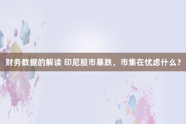 财务数据的解读 印尼股市暴跌，市集在忧虑什么？